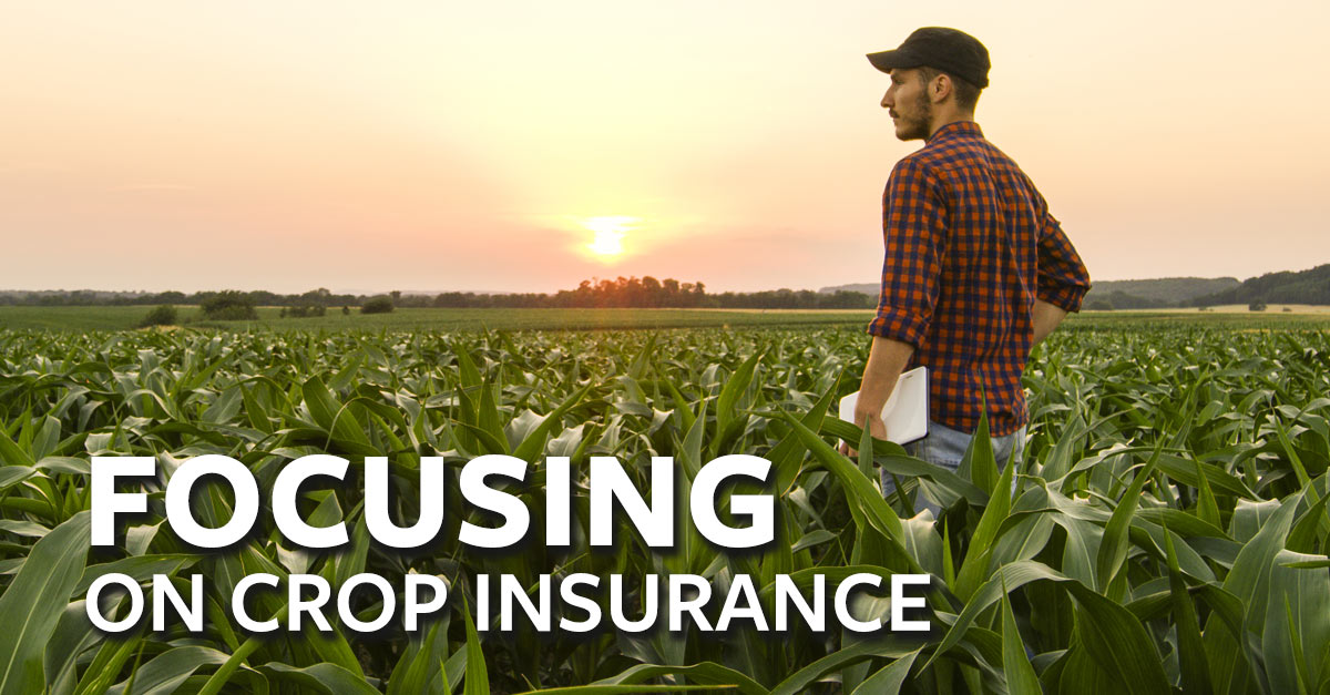 farm insurance california