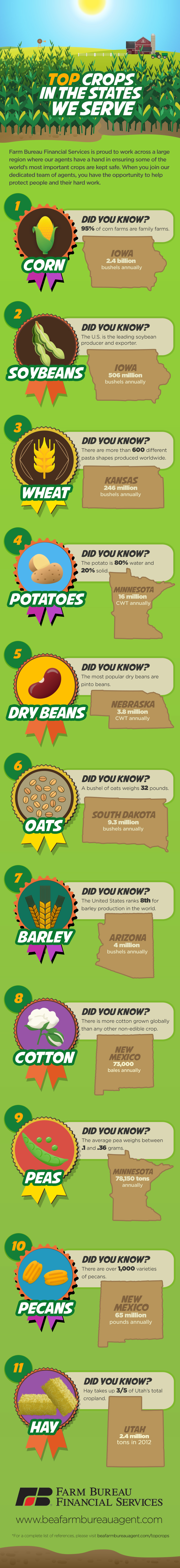 Top Crops in United States