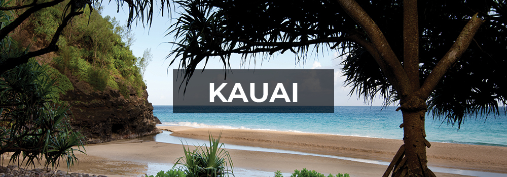 Beautiful Kauai beach scene.