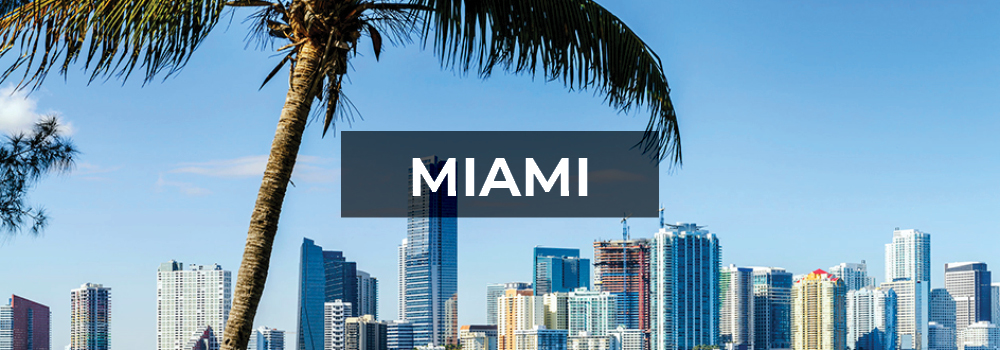 Miami, Florida Miami skyline and palm tree.