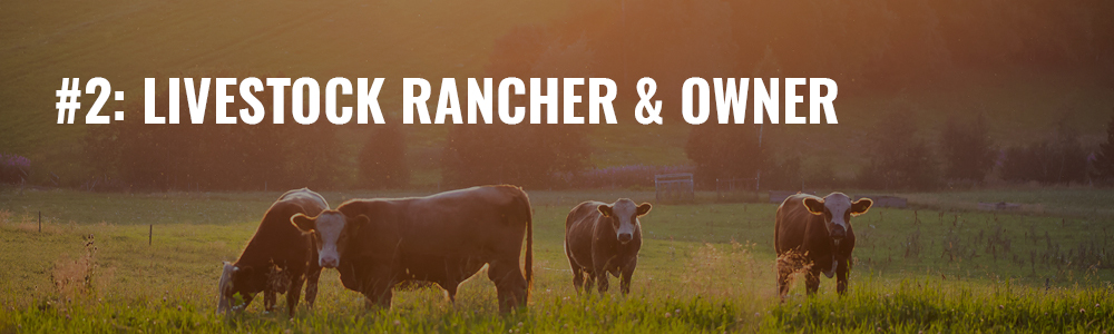 livestock ranchers make great agents livestock rancher & owner